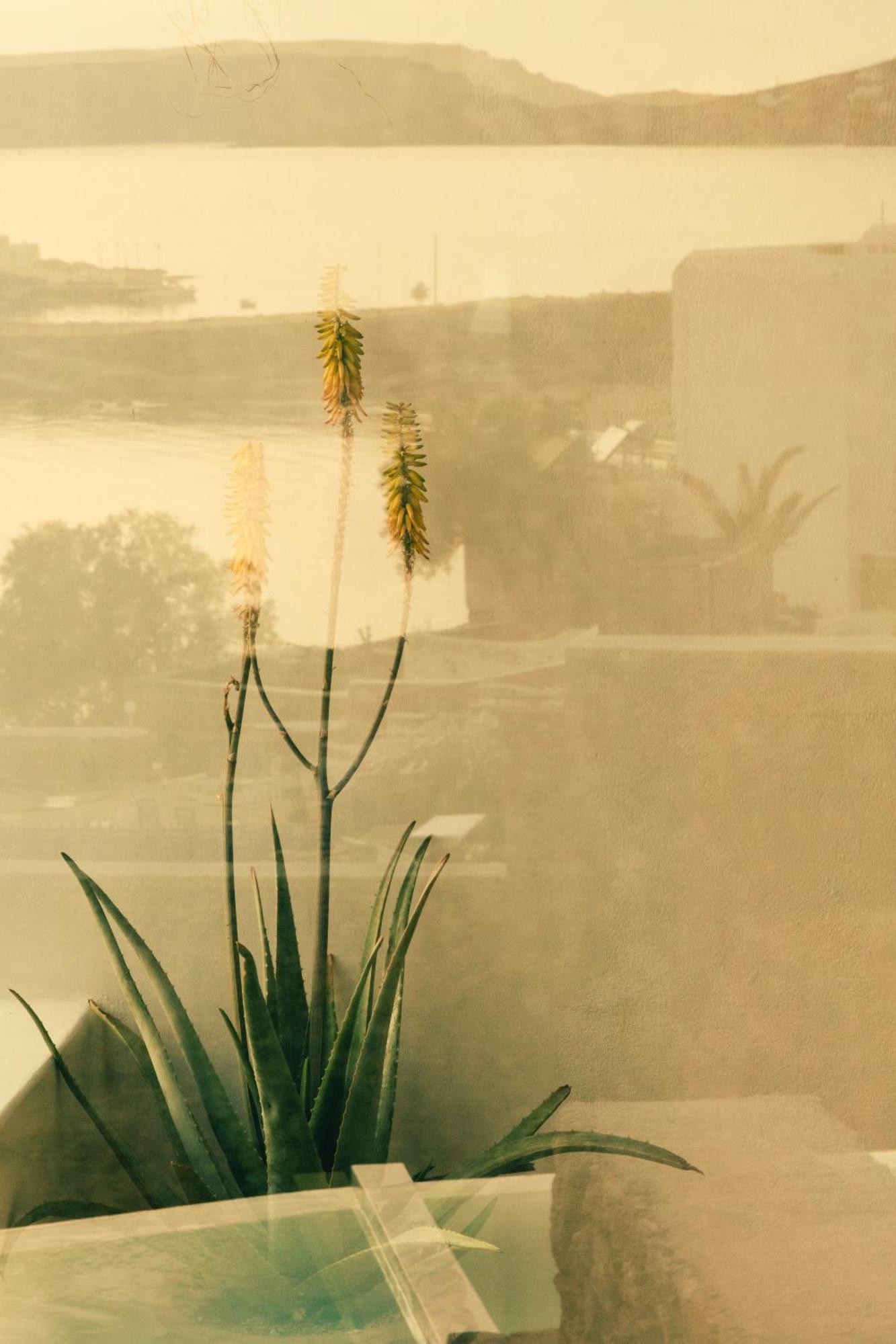 The Wild By Interni Otel Kalafatis Dış mekan fotoğraf