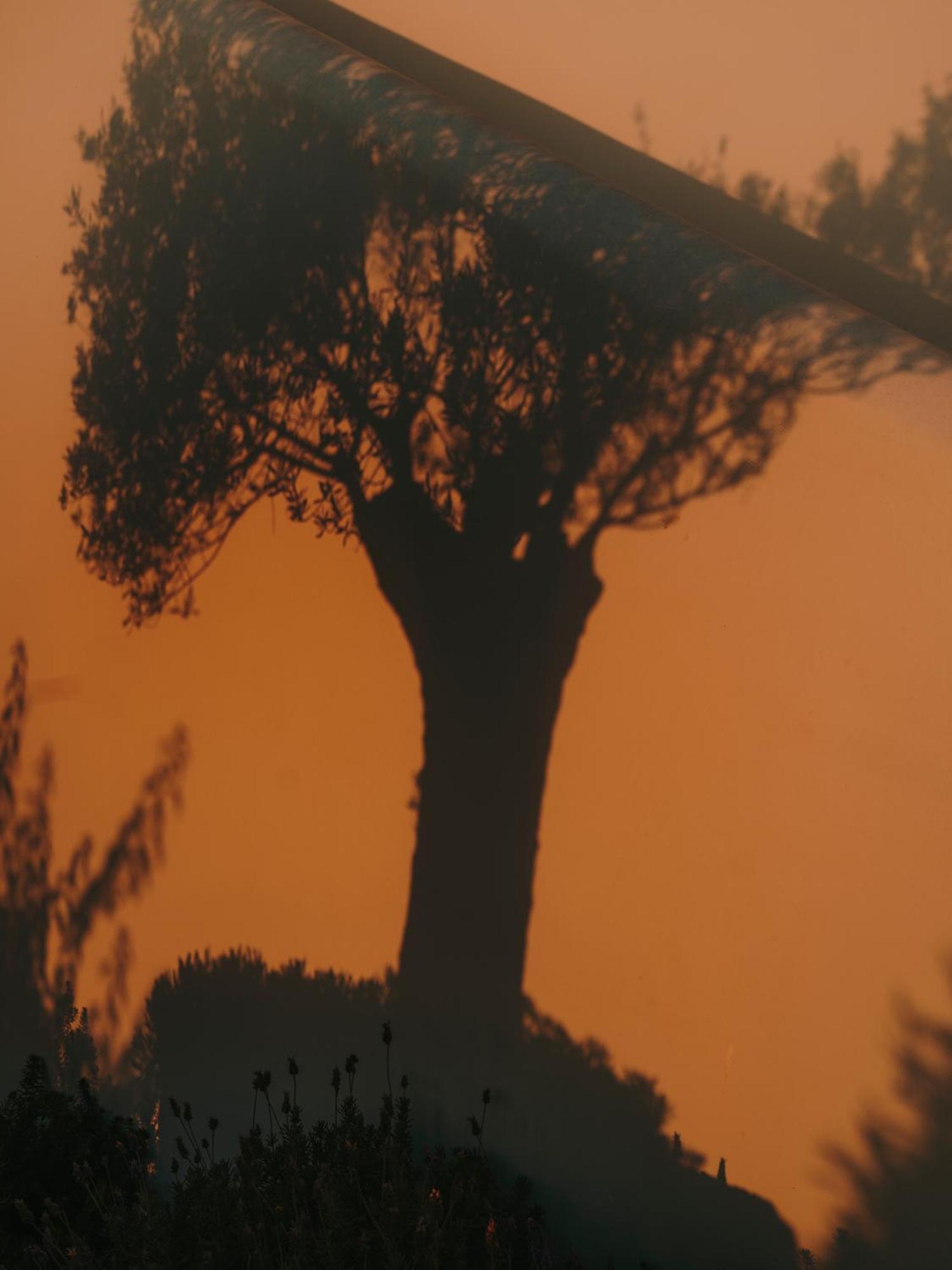 The Wild By Interni Otel Kalafatis Dış mekan fotoğraf